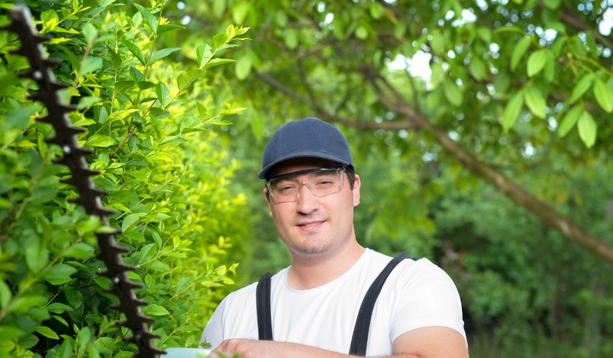 A man in a cap trimming a hedge among green trees
